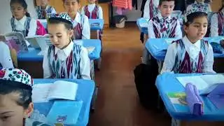 13 ноября 2022 г.