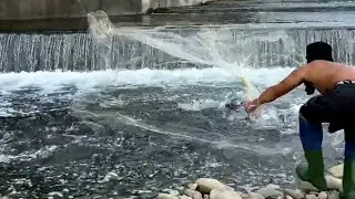 Greatest Fishing Video of all time . Amazing cast Net Fishing , Fishing Skills Forever #fishing