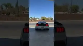 Mustang mach 1 edition borla exhaust