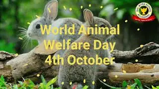 World Animal Welfare Day- The Five Freedoms