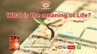What is the meaning of life? (Replay)