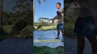 #catchfishtechnique #fishing #តិចនិចបង់សំណាញ់ #រៀនបង់សំណាញ់