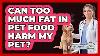 Can Too Much Fat In Pet Food Harm My Pet?
