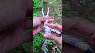 tips and tricks rope ✅#knot #knottrick #easyknot #tutorial #diy #fyp