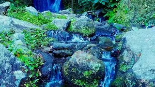 Stress & Anxiety Relief with Peaceful Waterfall Sounds