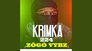 ZÖGÖ VYBZ