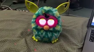 French Furby Boom All Personality Changes