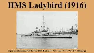 HMS Ladybird (1916)