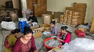 Mouthfreshner and Candy packaging for export