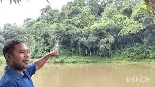Rongjeng to Dingrepa an.sengjok