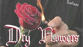 [FREE] KAI$eR TYPE BEAT - ''Dry Flowers' (prod. by &euro;ndless)