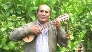 Anda cartitas volando - Alberto Arteaga