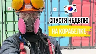 Первые впечатления о корабелке в Южной Корее