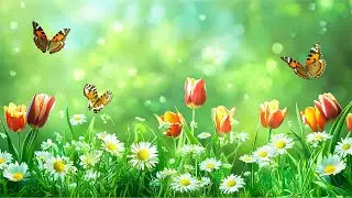 Beautiful melodies | music awakens the soul leading to happiness | explore the world💫