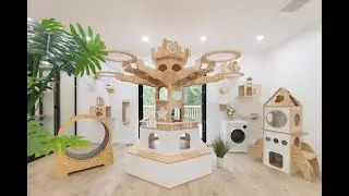 Best Cat Boarding Resort in Toronto Area