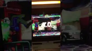 New Net City Wip 100%