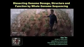 Dissecting genome dosage, structure and function by whole-genome sequencing
