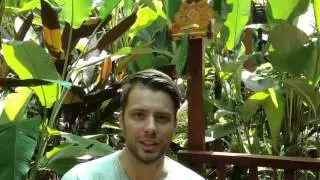 Review  Wayan Sueta Bed and Breakfast, Bali
