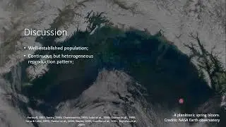 CBC.TCS.2022 - Biology aspects of Clibanarius antillensis: population structure and shell occupation