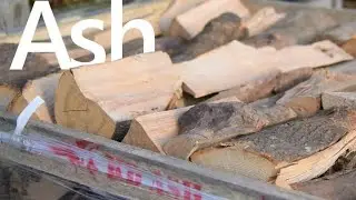 Ash Firewood | How Does It Burn? | White Horse Energy