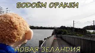 Лёгкая прогулка вокруг Оракеи Бэйсин - Окленд, Новая Зеландия