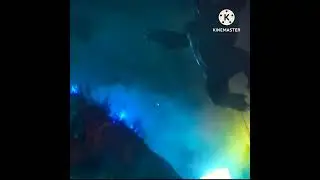 King Kong vs Godzilla| King Kong fight with Godzilla WhatsApp status|happysadsoul