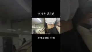 퇴사 후 회사생활 잘하는 방법을 깨달았습니다 #직장생활 #퇴사브이로그