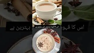 Star Anise Benefits | A Hidden Winter Super Herb 🌿✨ #information #urdu #Badiyankaphool