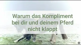 Zirkuslektion Kompliment &ndash; Warum du nicht weiter kommst und wie du es deinem Pferd beibringen kannst