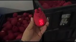 Chinese OEM And ODM Sex Toy Manufacturers