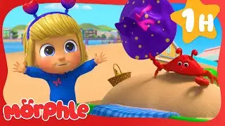 Crabby Beach Day 🦀 Morphle Dinosaurs 🦕 Cartoons for Kids | 1 HOUR