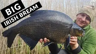 Bream Fishing - Memories of Specimen Bream from a Wild, Irish Lough (2018)