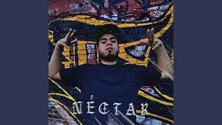 SizmoFlow - N&eacute;ctar (Audio)