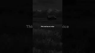 teya dora - džanum | moje more | lyrics (English lyrics )aesthtic | WhatsApp status | slowed | audio