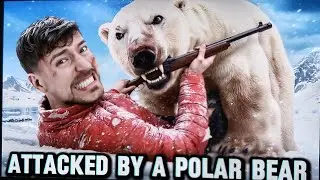 Белый медведь появился из ниоткуда. Безумный момент выживания 🐼 #vairalvideo #OMGMoment#CaughtOnC...