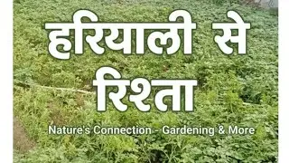 Dharti sunhari Ambar Neela Sara Jung hai rangila❤️🌿❤️rangilaAisa Desh hai Mera meregaon ki hariyali 