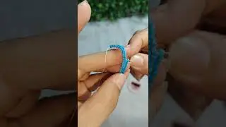 Paso a paso de guacamayas en Mostacilla 