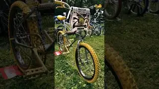 Vintage BMX Bikes