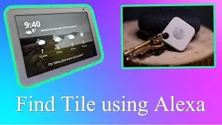 Tile Mate & Amazon Echo