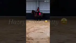 HAZEY IS SO PRETTY 🤩 Macy And Hazey! #ponys #Pretty #indoorarena #arena #canter #dressage