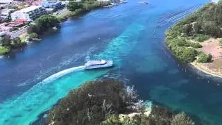 Forster - Dolphin Cruise