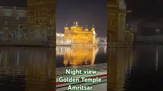 Golden Temple at Night ✨ Divine Glow in Amritsar | #Shorts #GoldenTemple