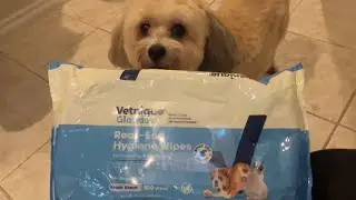 Vetnique Glandex Dog Wipes Review 🐾 Easy Clean Up for Pets Between Baths
