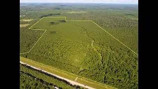 227 acres | Highway165 | Allen Parish, Louisiana