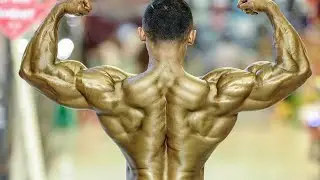 COBRA BACK,,,, latihan otot back/punggung
