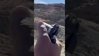 GSG 1911 22LR shoots everything. mag included subsonics, cci polymer, dirty rounds and standards.