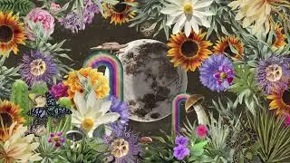 Medicine Jungle Moon Phase Guided Visual Mediation | Lunar Healing Meditation | Guided Breathwork