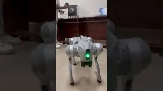 ROBOTICS CLUB &mdash; FIRST LOOK ADVANCE &middot; EVOLVE &middot; IMPROVE🛰️ Aerospace Robotics LabSpace Rovers