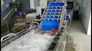 15M Russian Cucumber Cleaning Line s