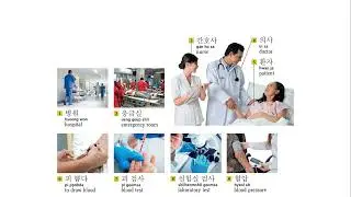 Seeing a Doctor 의사 방문 Useful Korea Word at Hospital Conversation in Korean Language